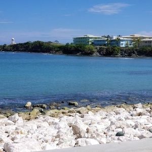 Meet your Posher, Don